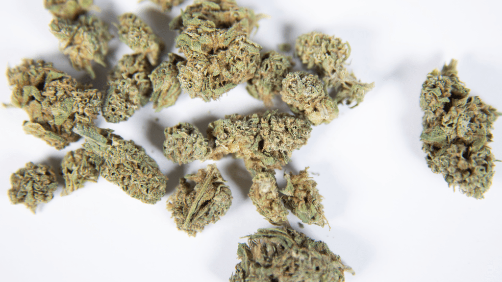 Marijuana Legislation in 2022: Developments and State Initiatives